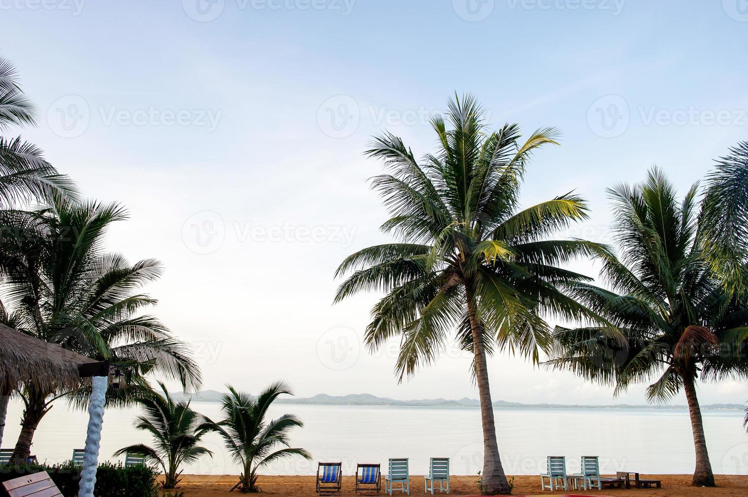 alberi di cocco e mare, uno splendido scenario naturale foto