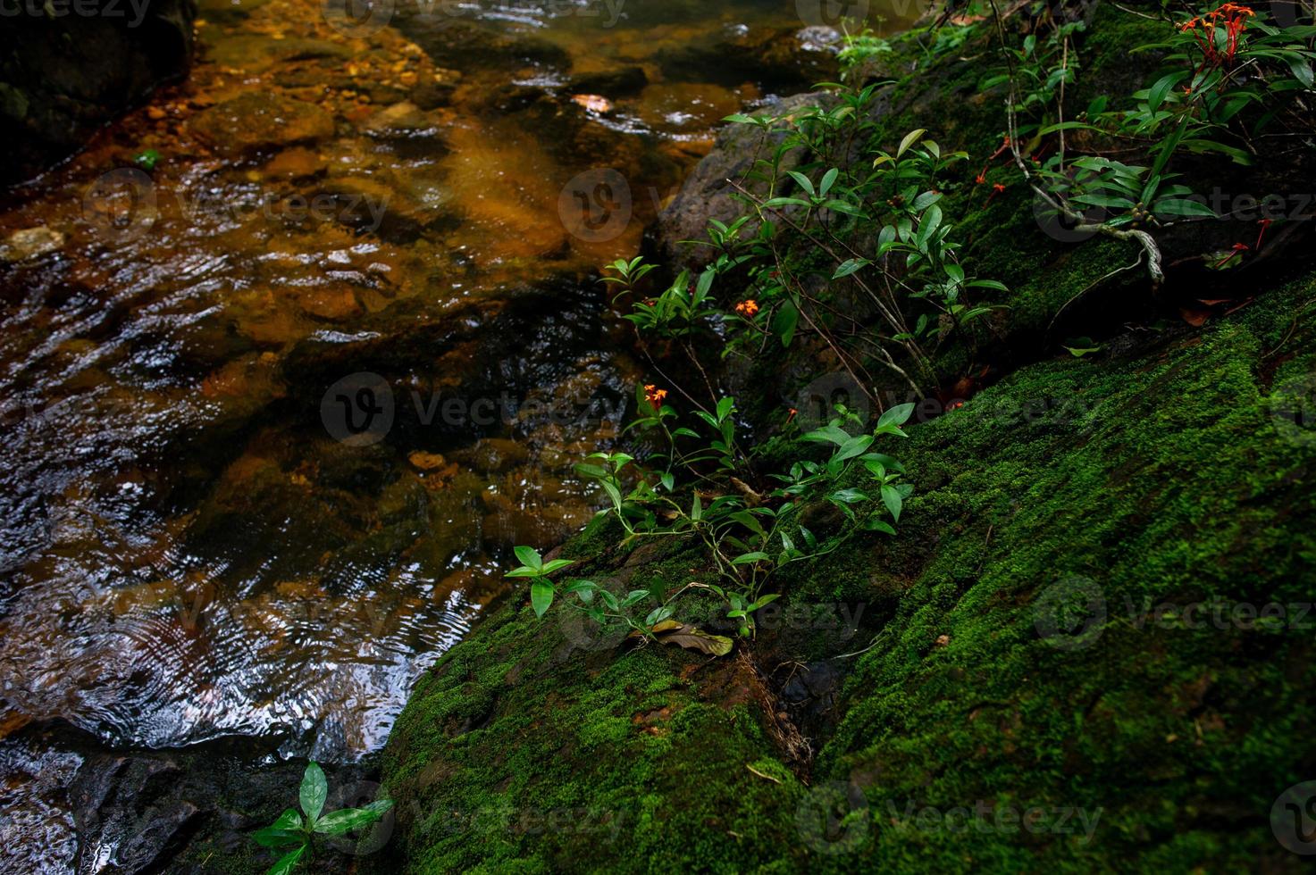 cascata naturale, fiume spalla, attraverso la cima della montagna foto