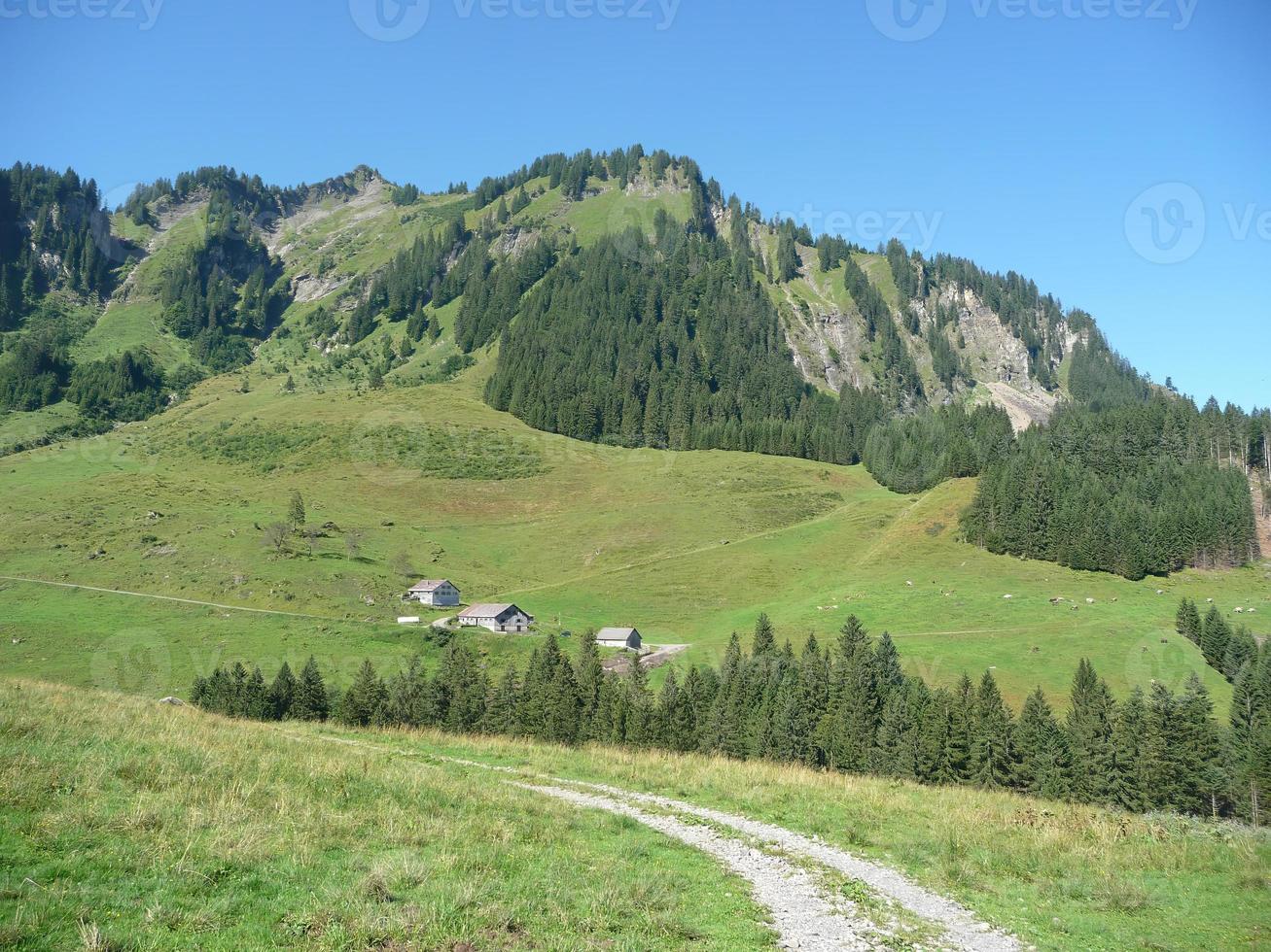 paesaggio in montagna foto