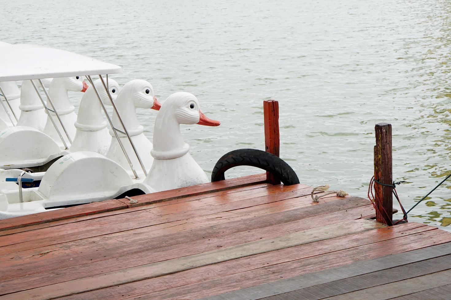 pavimento in legno per girare in acqua foto