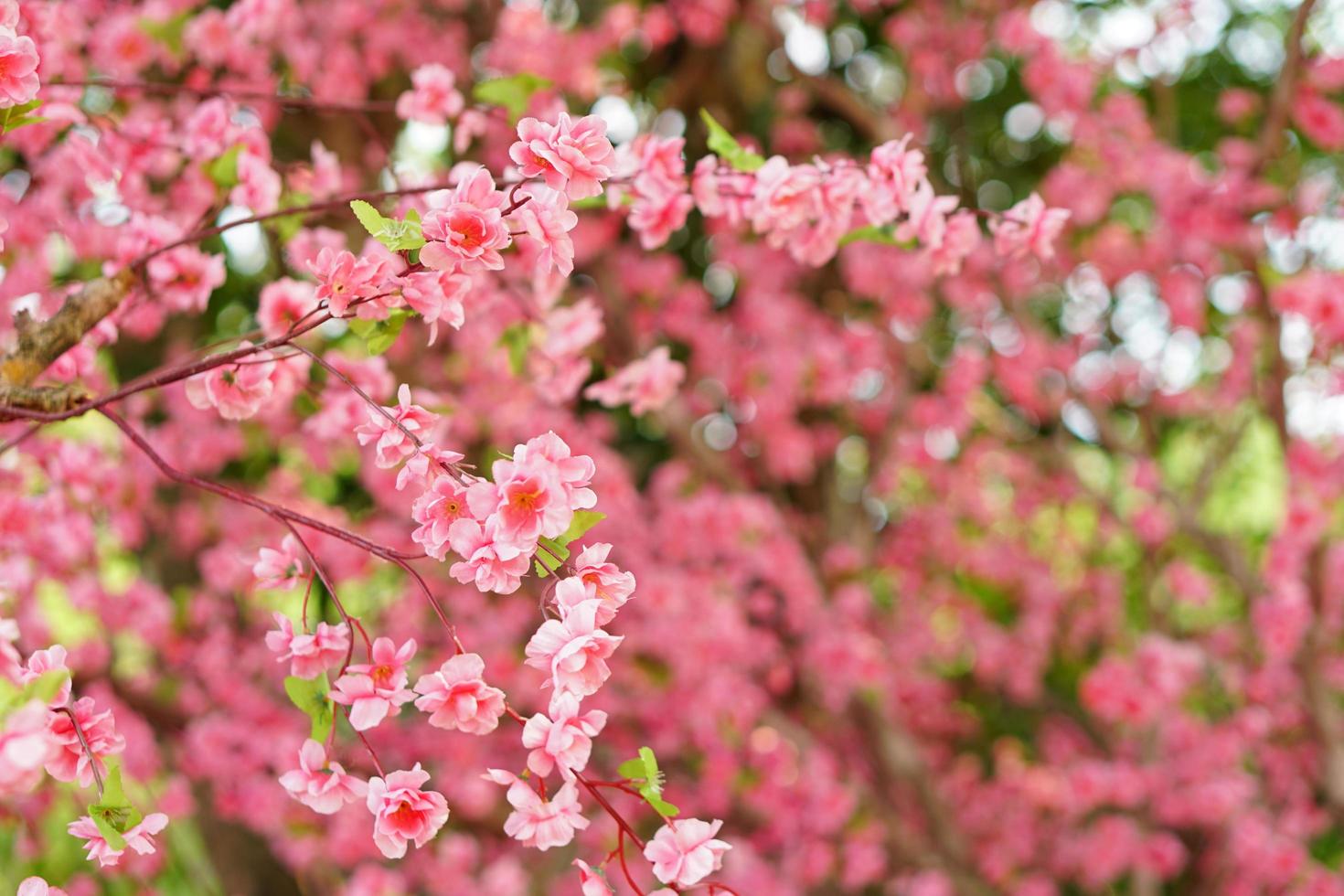 sfondo di fiori rosa che è stato inventato per sostituire i fiori veri foto