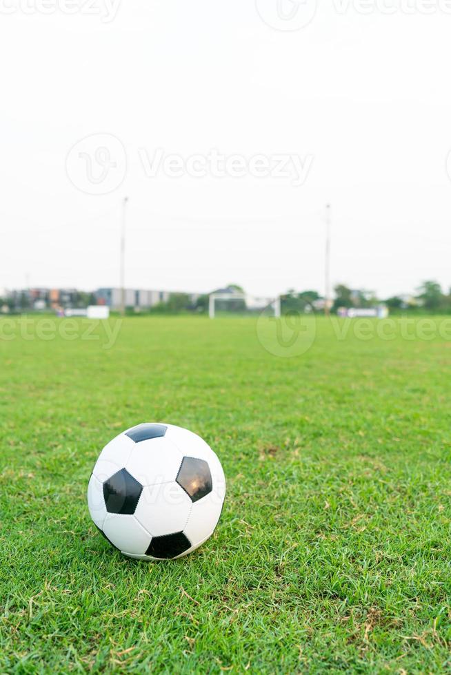 pallone da calcio sul campo da calcio foto
