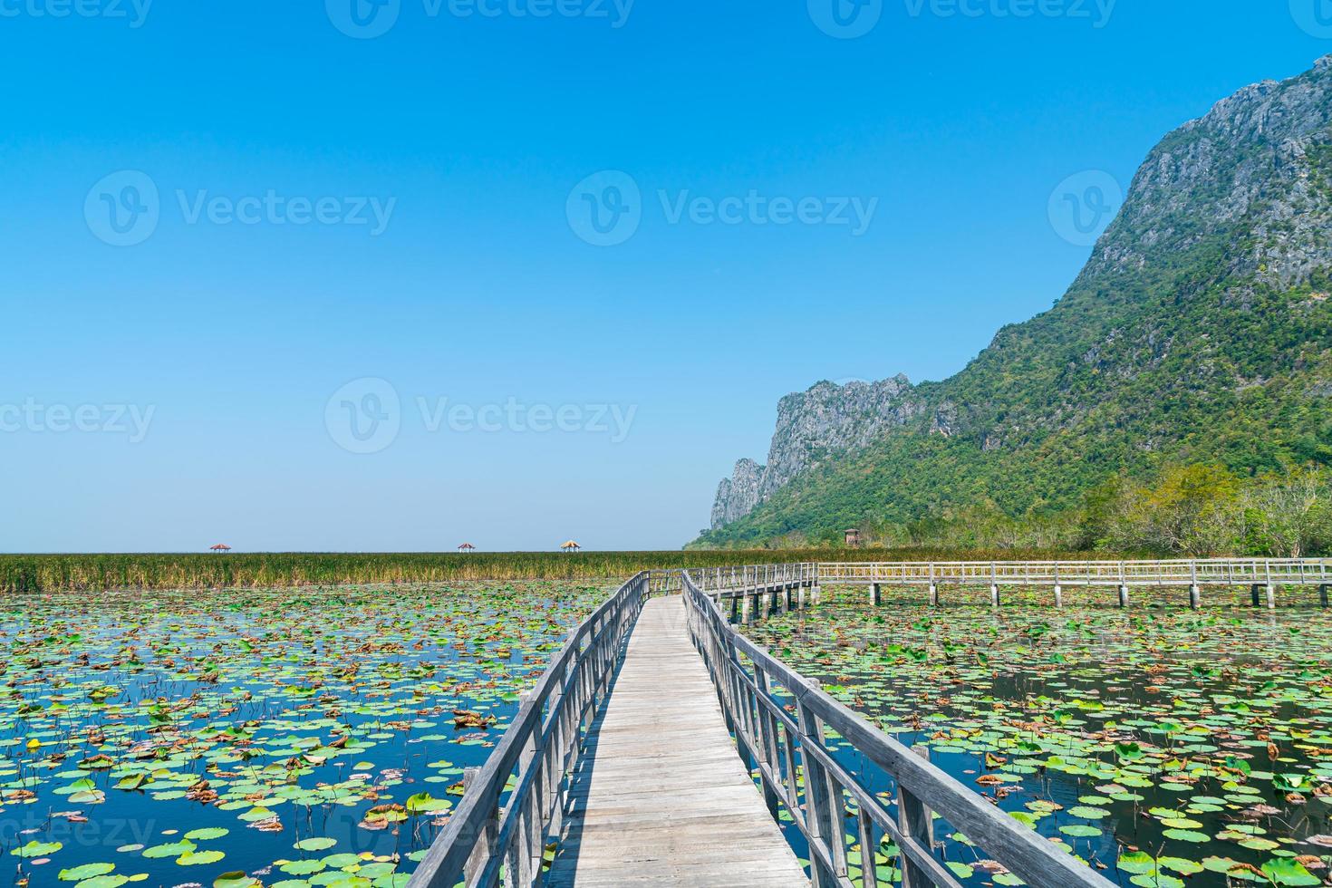 Sam Roi Yot palude di acqua dolce o bueng bua khao Sam Roi Yot National Park foto