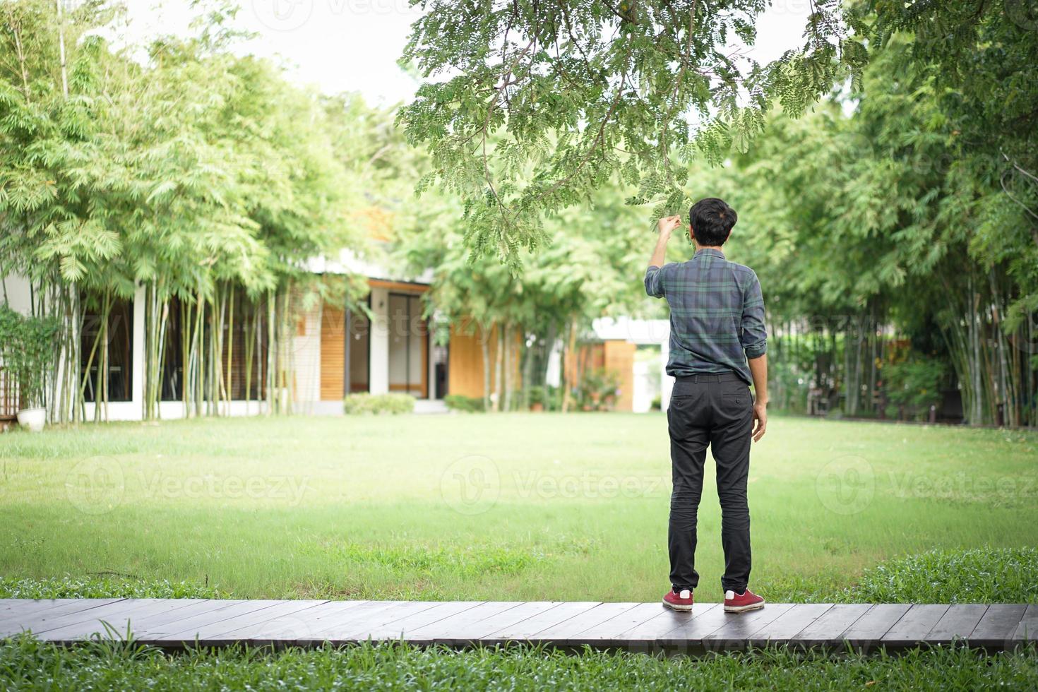 l'uomo asiatico sta tenendo la foglia e il ramo di un grande albero in una sensazione rilassante sul gradino della passerella di legno con il giardino sfocato dietro. foto