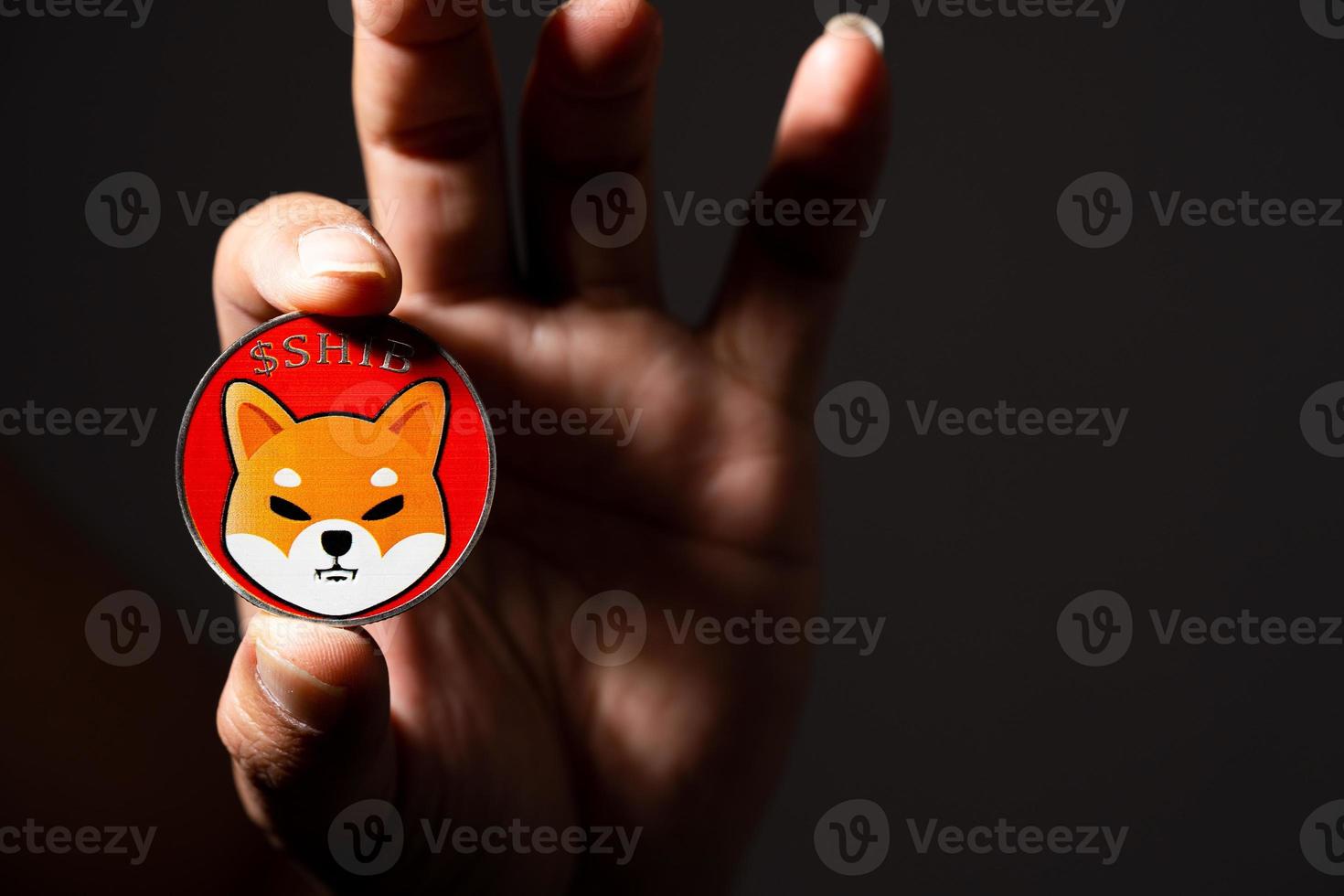 mano o dita che selezionano la moneta shiba inclusa con moneta criptata dogecoin doge nelle ombre simbolo della stanza nera tecnologia blockchain virtuale il futuro è denaro digitale da vicino e macro. foto