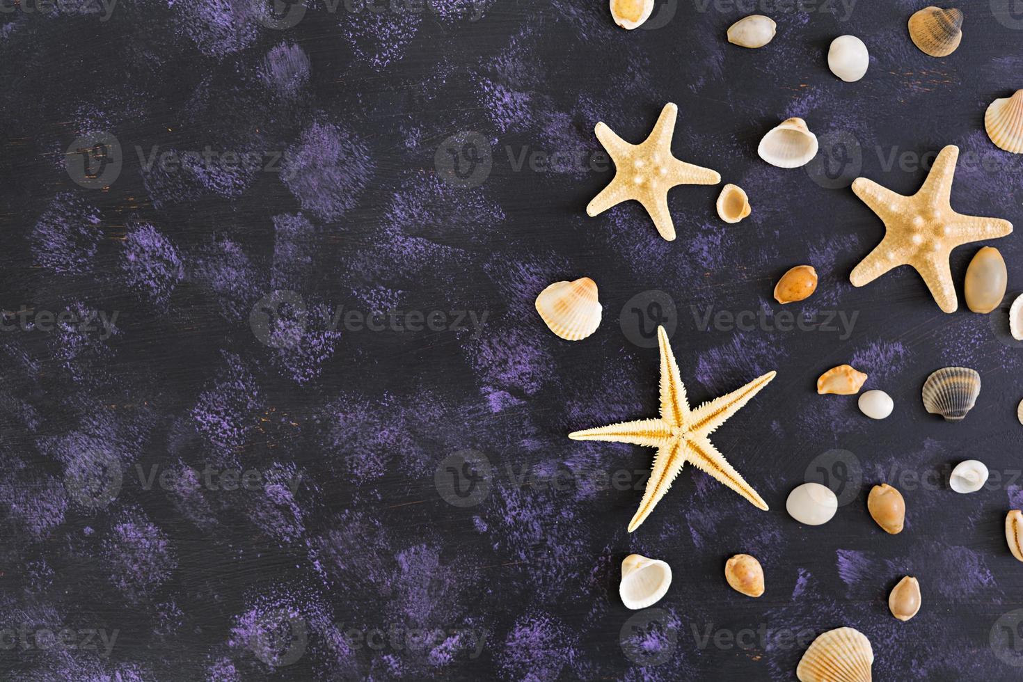 conchiglia e stelle marine su sfondo scuro. vista dall'alto foto