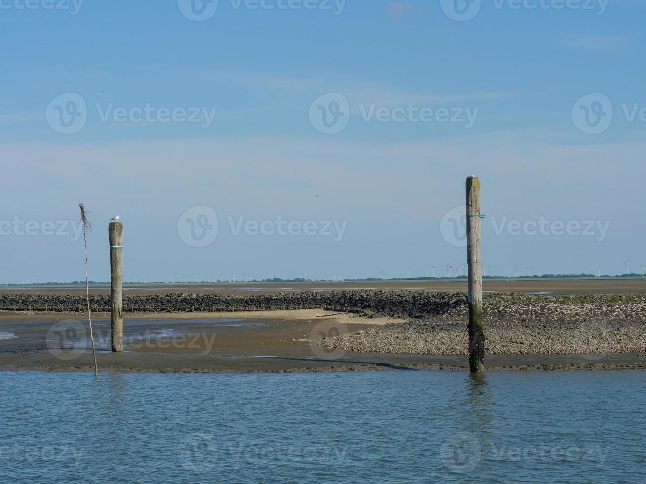 isola di baltrum nel mare del nord foto