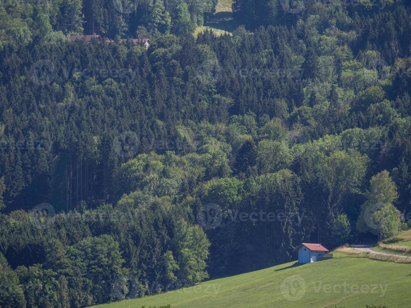 presso il fiume Danubio in Austria foto