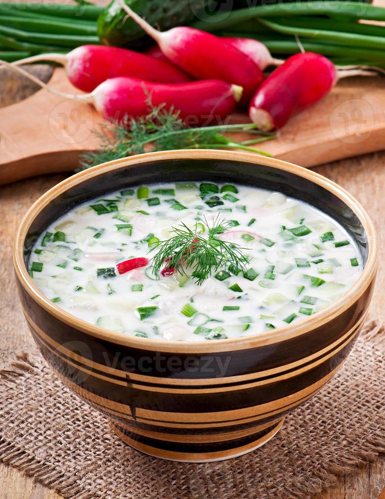 zuppa fredda di kefir di verdure con uova e verdure foto