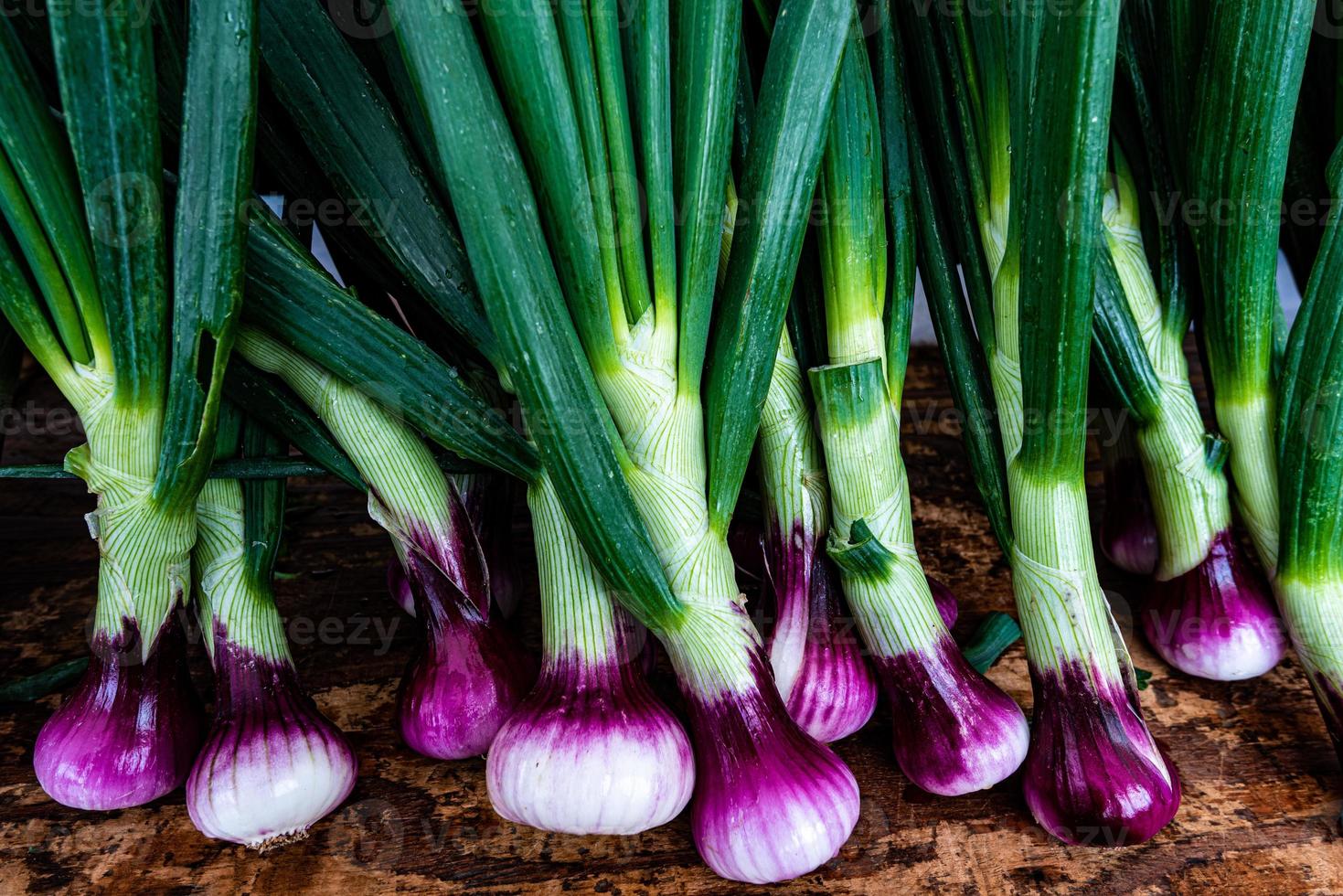 cipollotti dolci viola e bianchi foto