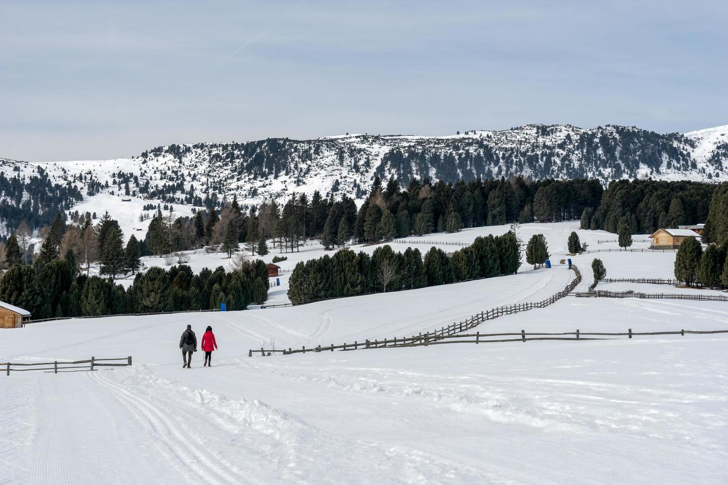 pascolo rinderplatz, alto adige, italia, 2016. coppia camminando sulle alpi foto