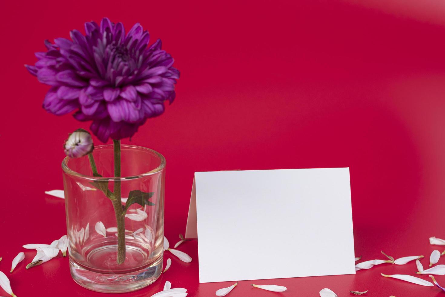 concetto di design del design di saluto di San Valentino con fiore su sfondo rosso. foto