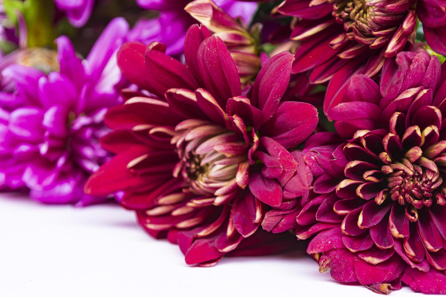 concetto di design del design di auguri per le vacanze della festa della mamma con bouquet di fiori. foto