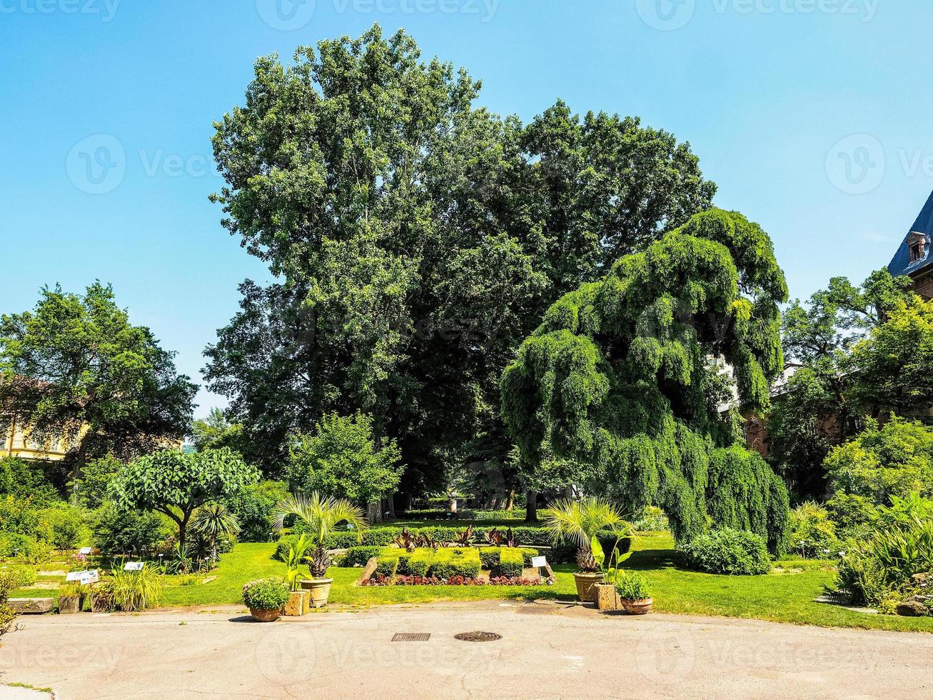 hdr giardini botanici di torino foto