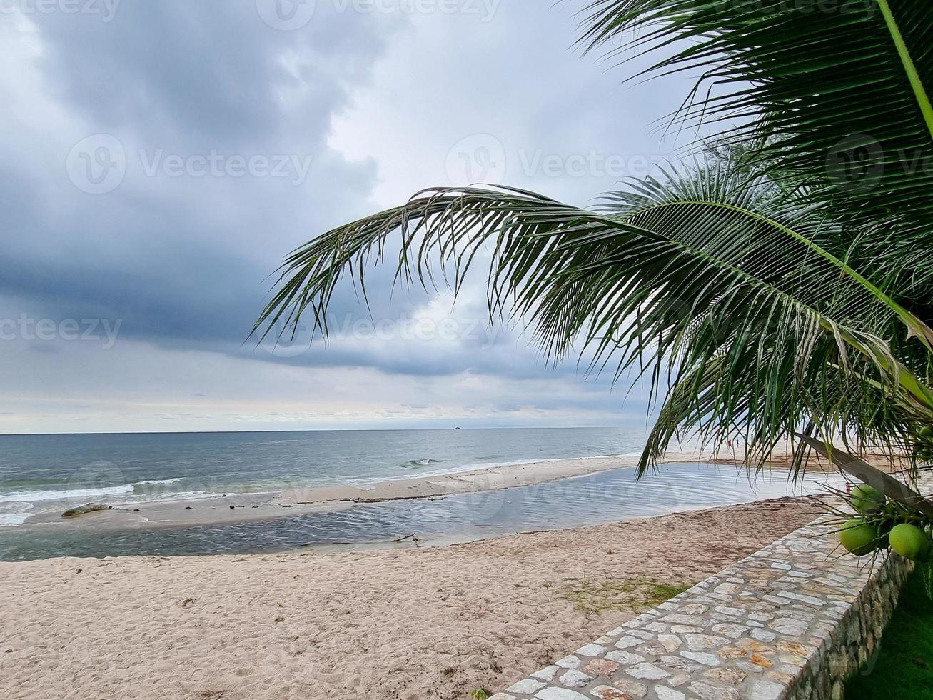 bella spiaggia di sabbia dorata alba fresca brezza marina vacanze estive con albero di foglie di cocco verde. cielo azzurro e nuvole bianche. foto