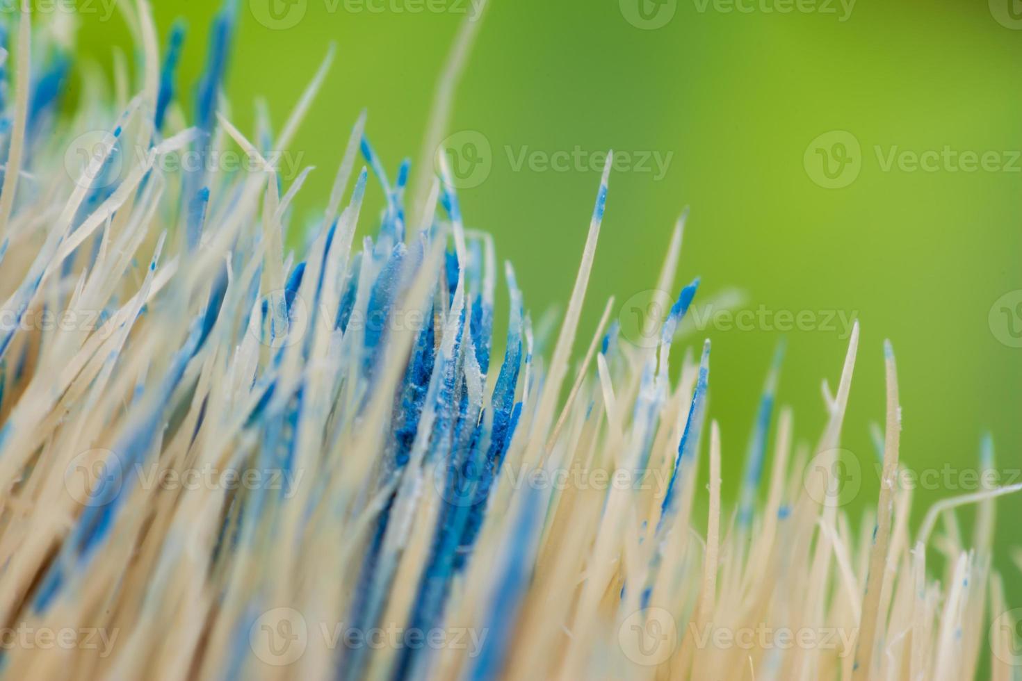 primo piano pennelli dove la vernice blu si è asciugata. foto