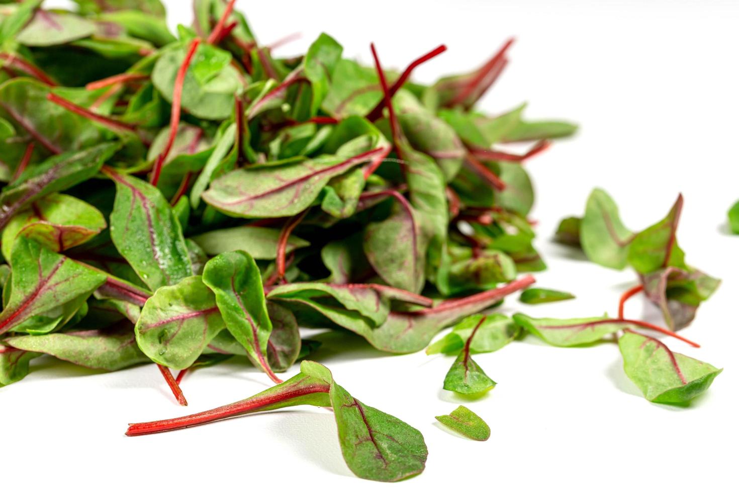 foglie di spinaci giovani freschi su uno sfondo bianco foto