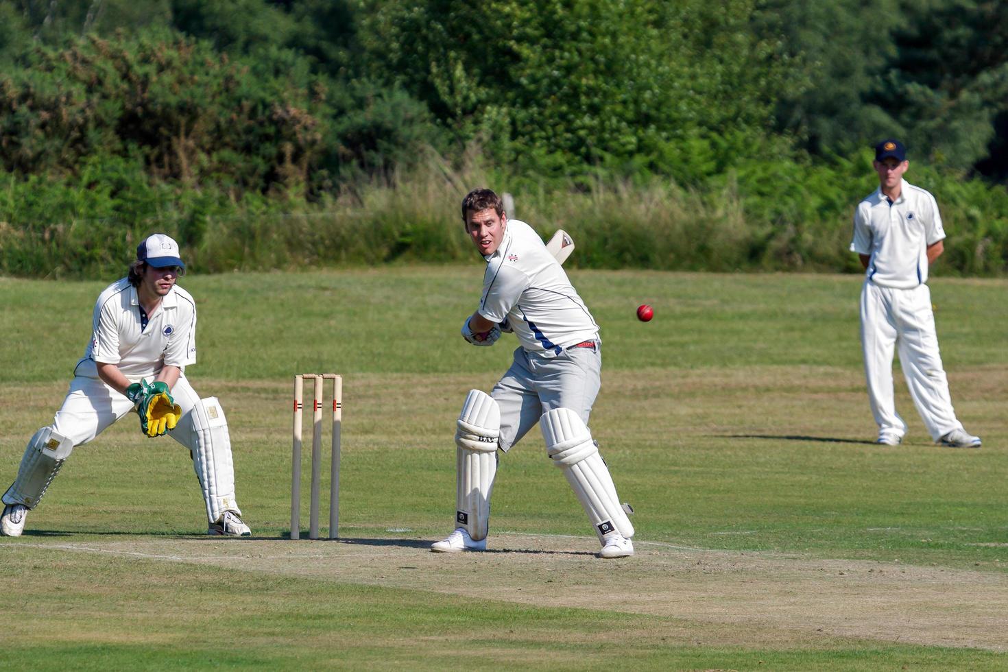 Coleman's Hatch, Sussex, Regno Unito, 2009. Il cricket del villaggio viene giocato sul green foto