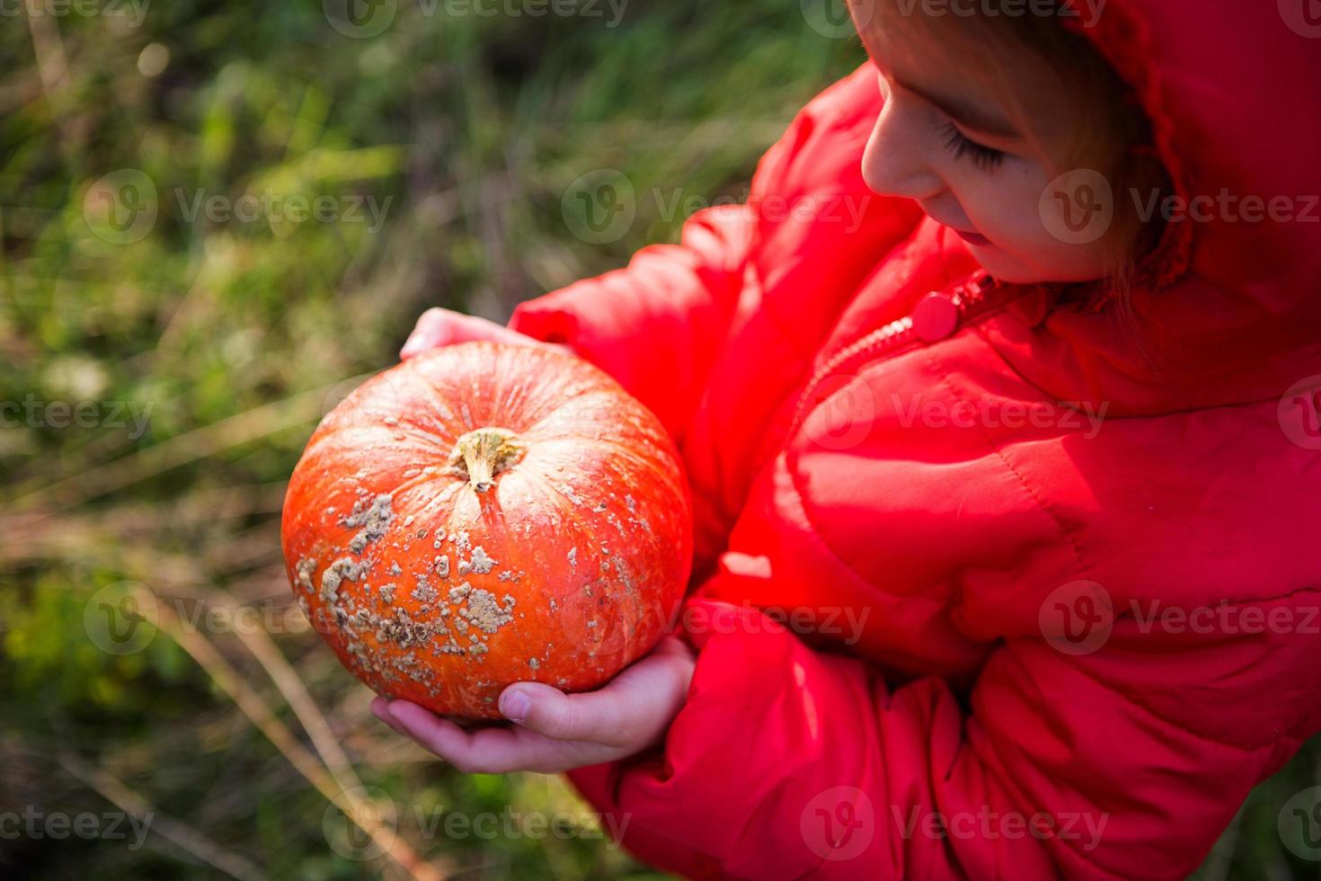 zucca rotonda arancione nelle mani di una ragazzina caucasica con una giacca rosso brillante con cappuccio. concentrati sulla zucca. festa del raccolto, ringraziamento, cibo ecologico, atmosfera autunnale, halloween. foto