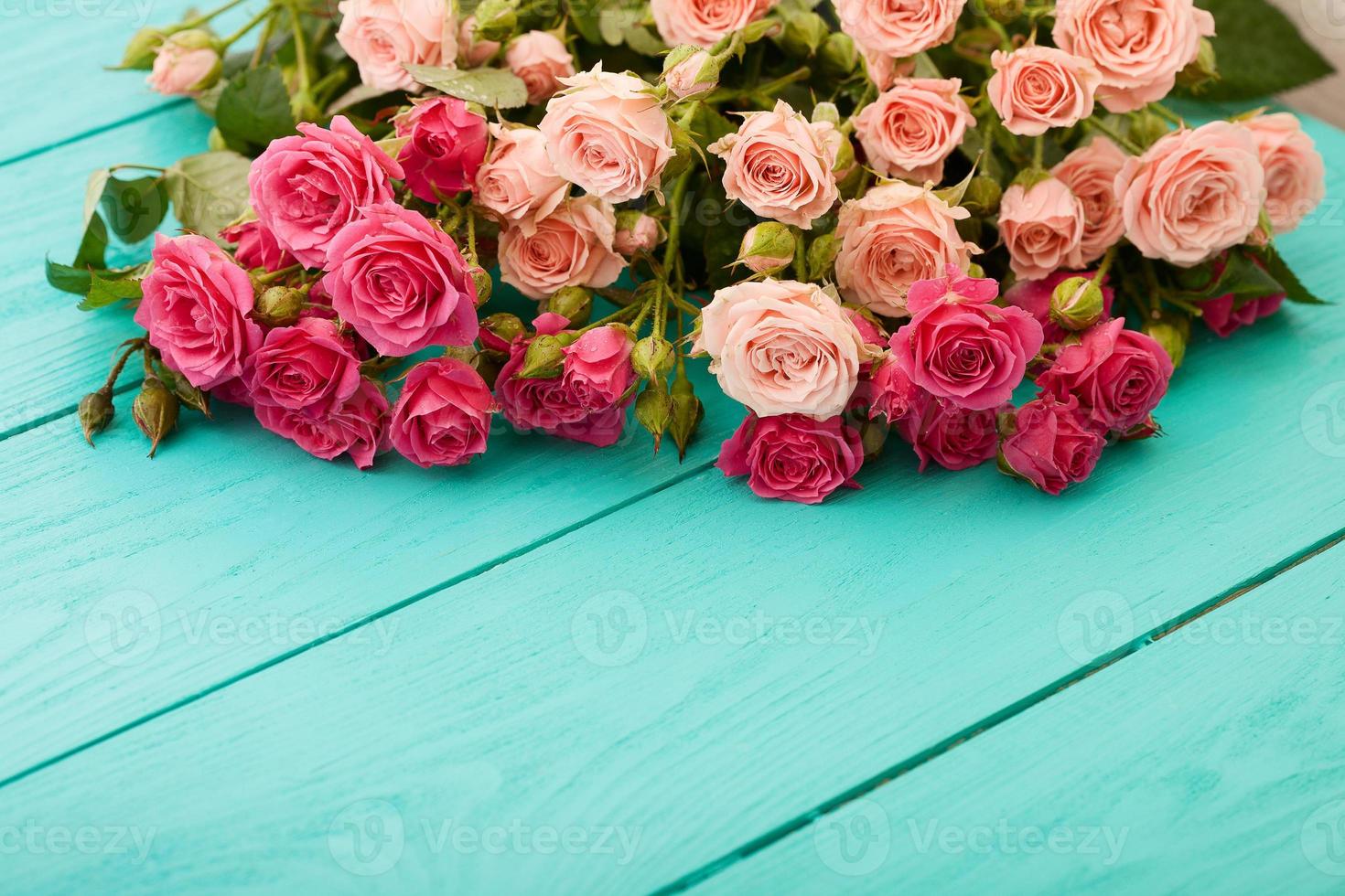 cornice di rose colorate. vista dall'alto e messa a fuoco selettiva foto