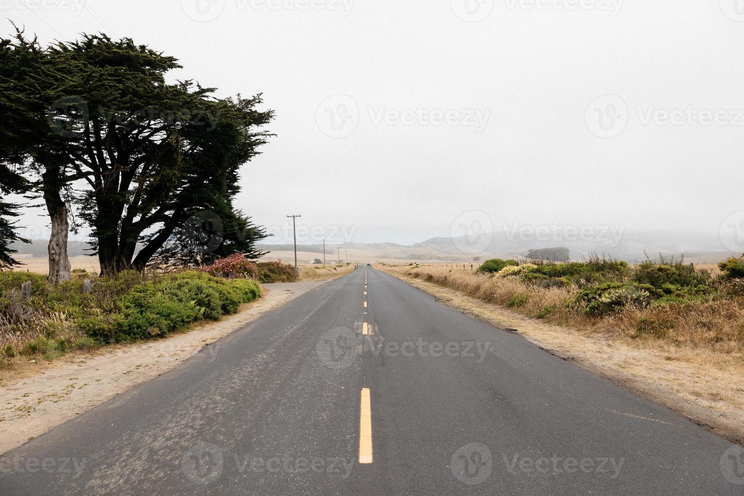 strada tra le dune foto