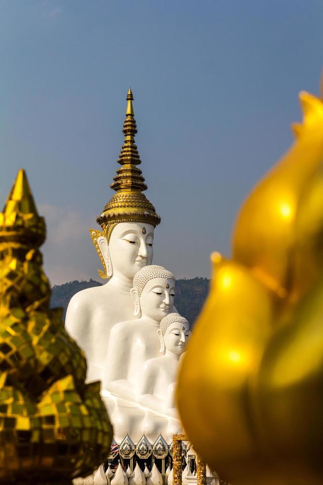 loto buddha in oro bianco foto