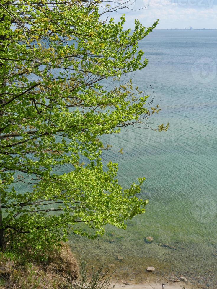 al mar baltico in polonia foto