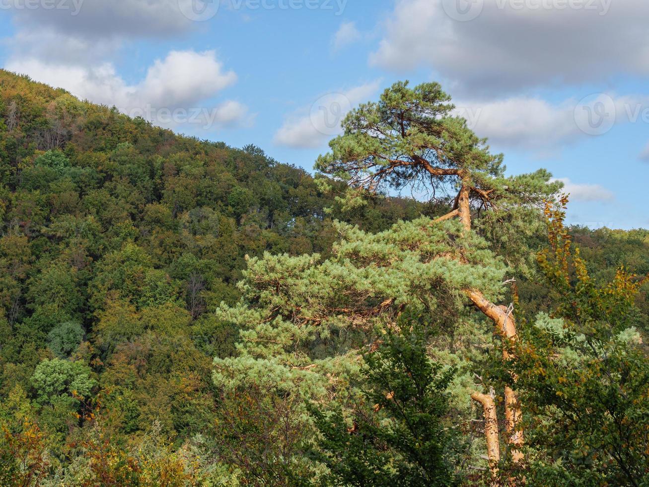 Waldeck in germania foto