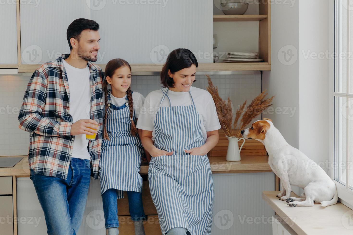 foto di una piccola bambina, sua madre e suo padre stanno insieme in una cucina moderna, guardano con espressioni buffe il cane jack russell terrier, trascorrono il fine settimana a casa, andando a cucinare qualcosa di delizioso