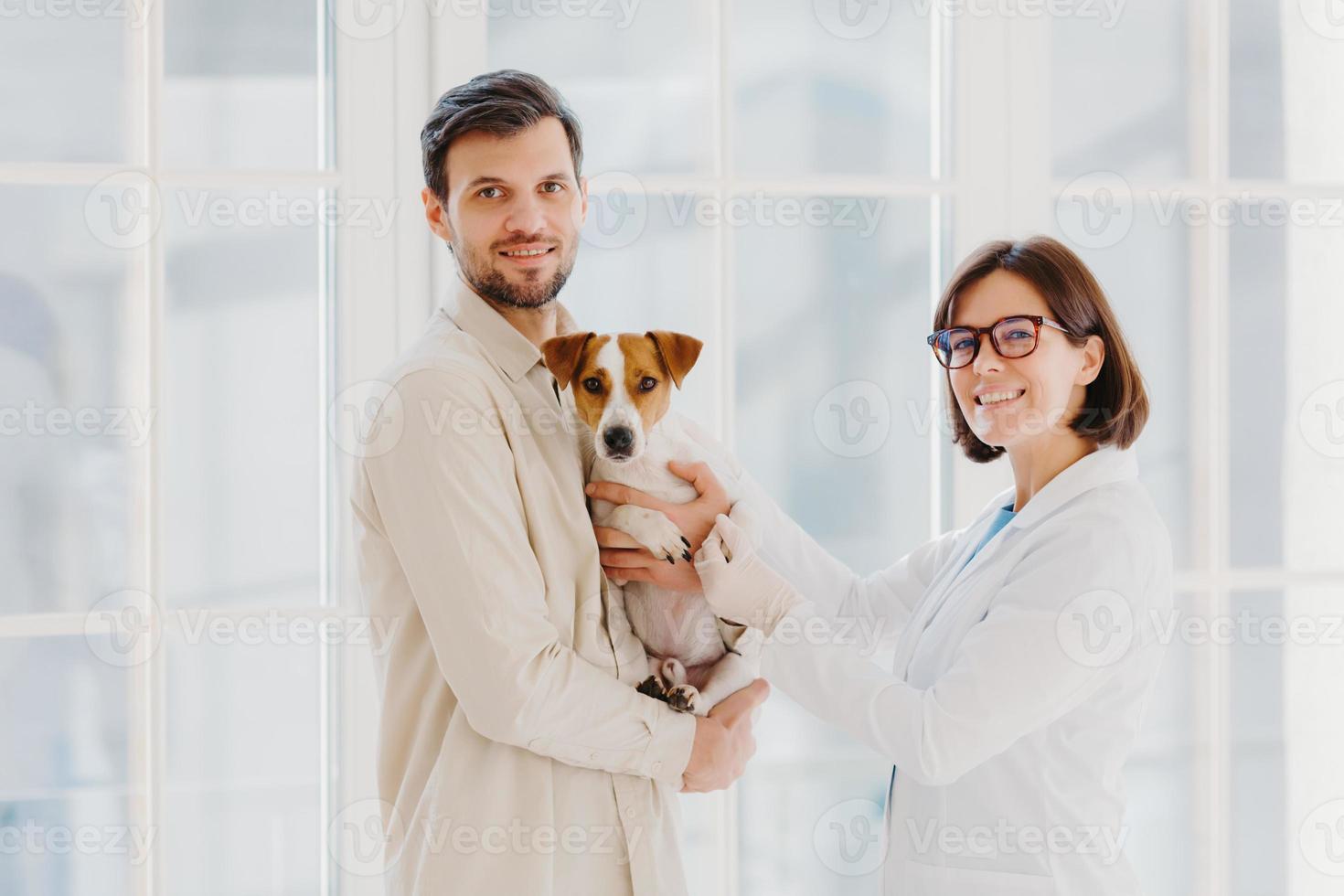 veterinario femmina e maschio proprietario di animali domestici posa con il cane preferito, venire in ufficio veterinario o in ospedale per il controllo medico, stare insieme al chiuso contro una grande finestra, parlare tra loro, dare consigli utili foto