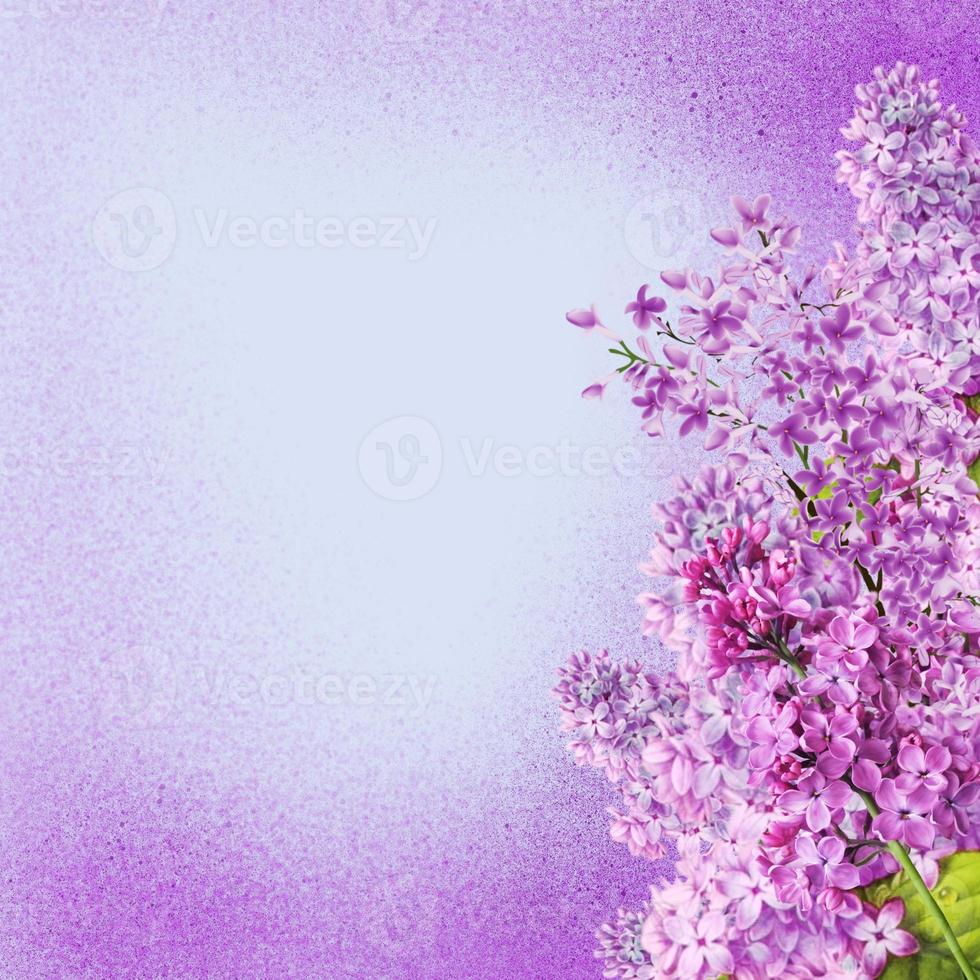 fiori lilla su uno sfondo viola glitter texture, fiori primaverili, estate, partecipazione di nozze foto