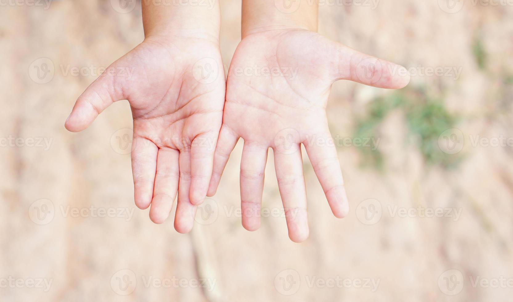 le mani dei bambini sono tese, toccando la natura. foto