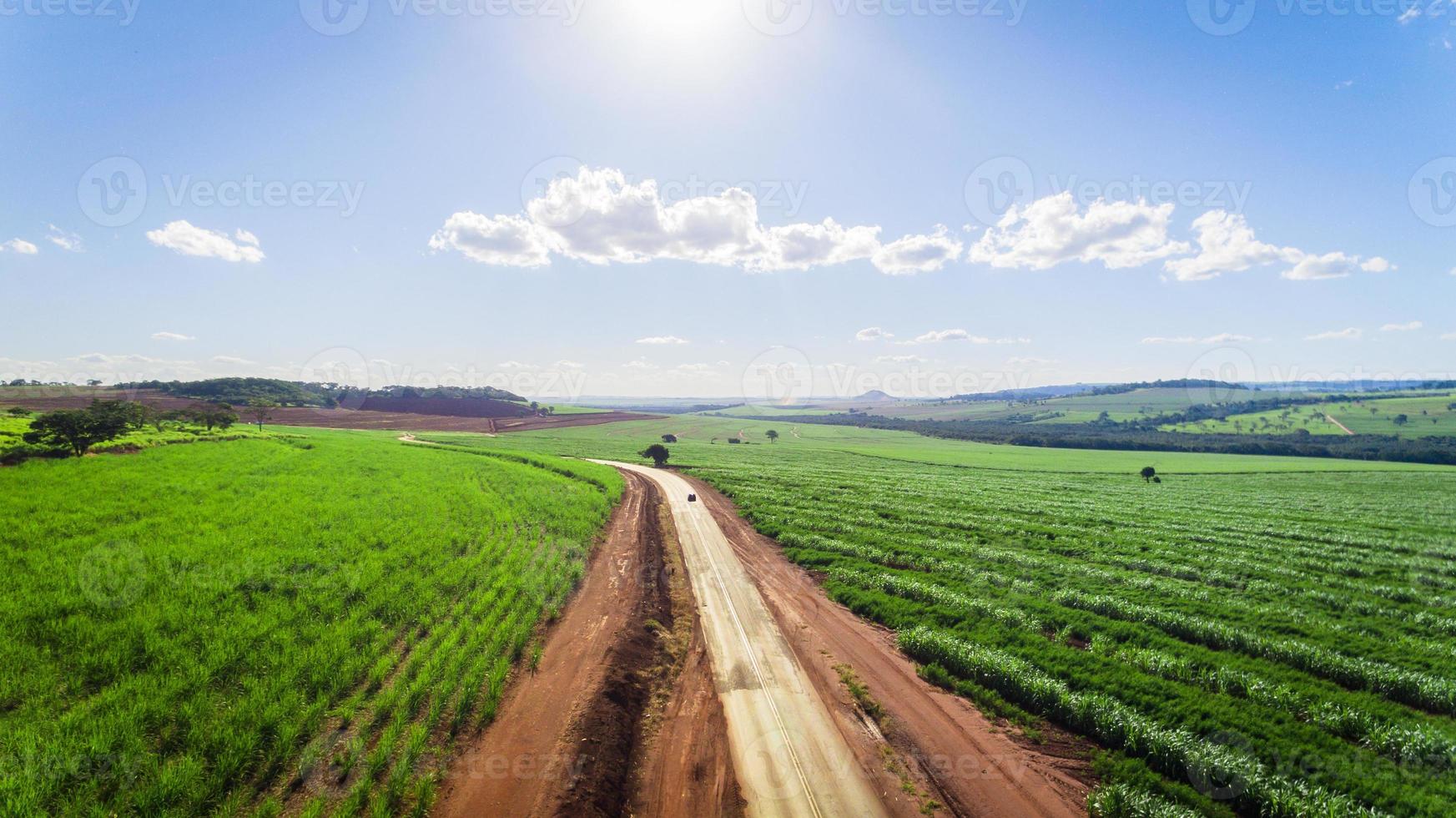 vista aerea del campo della piantagione di canna da zucchero con la luce del sole. industriale agricolo. foto