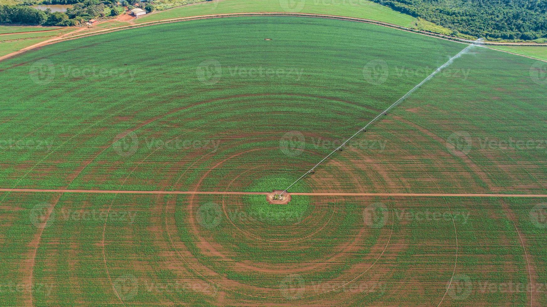 sistema di irrigazione agricolo nelle soleggiate giornate estive. una veduta aerea di un sistema di irrigazione a perno centrale. foto