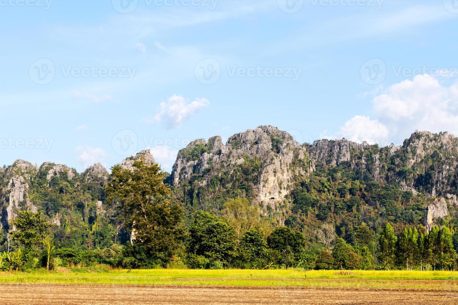 terreno agricolo con scogliere. foto