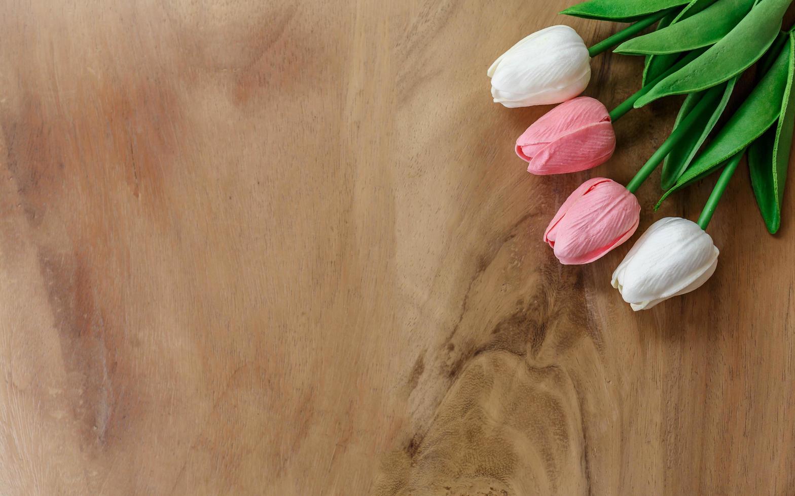 fiore del tulipano su fondo di legno foto