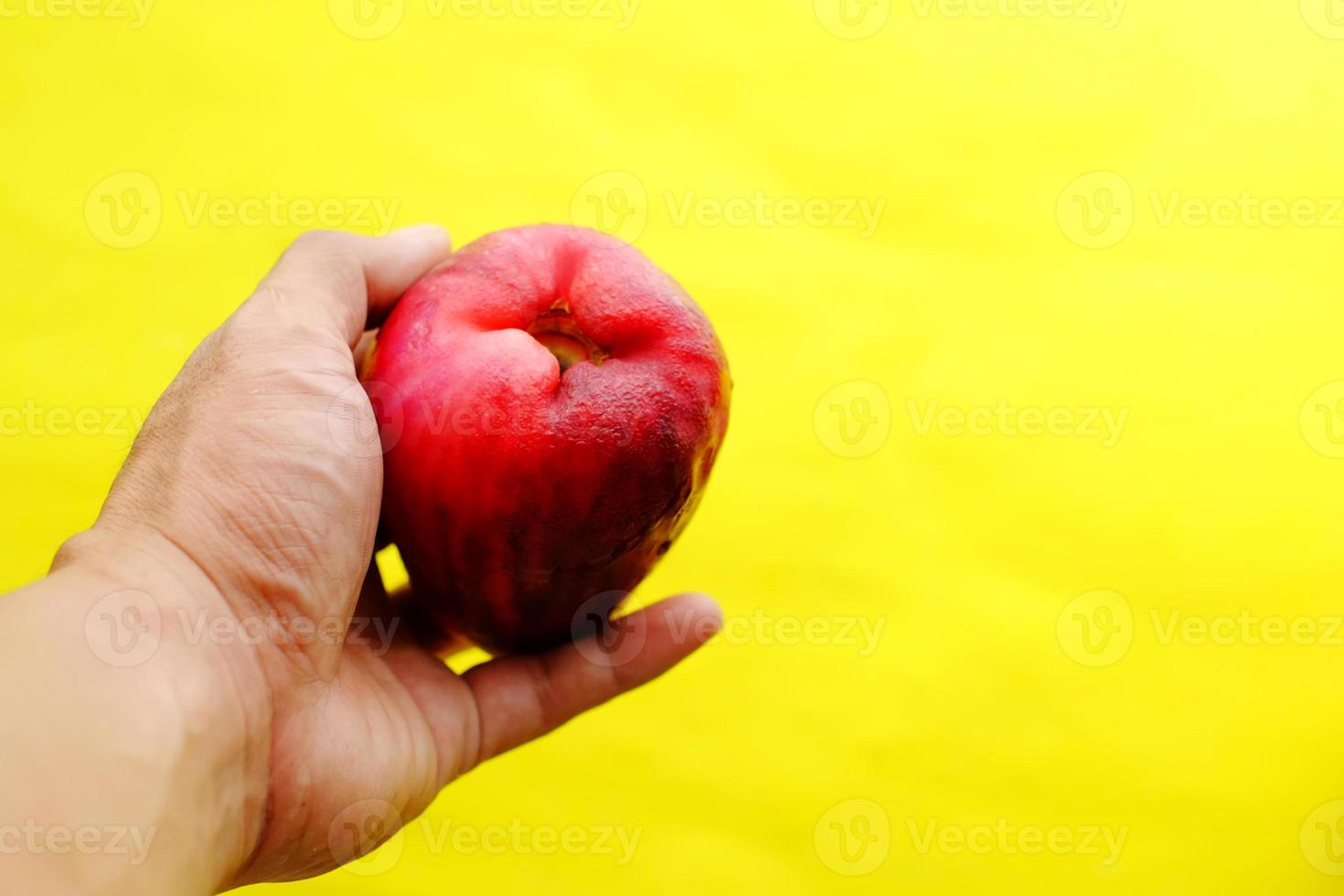 mano d'uomo che tiene acqua guava frutta su sfondo giallo foto