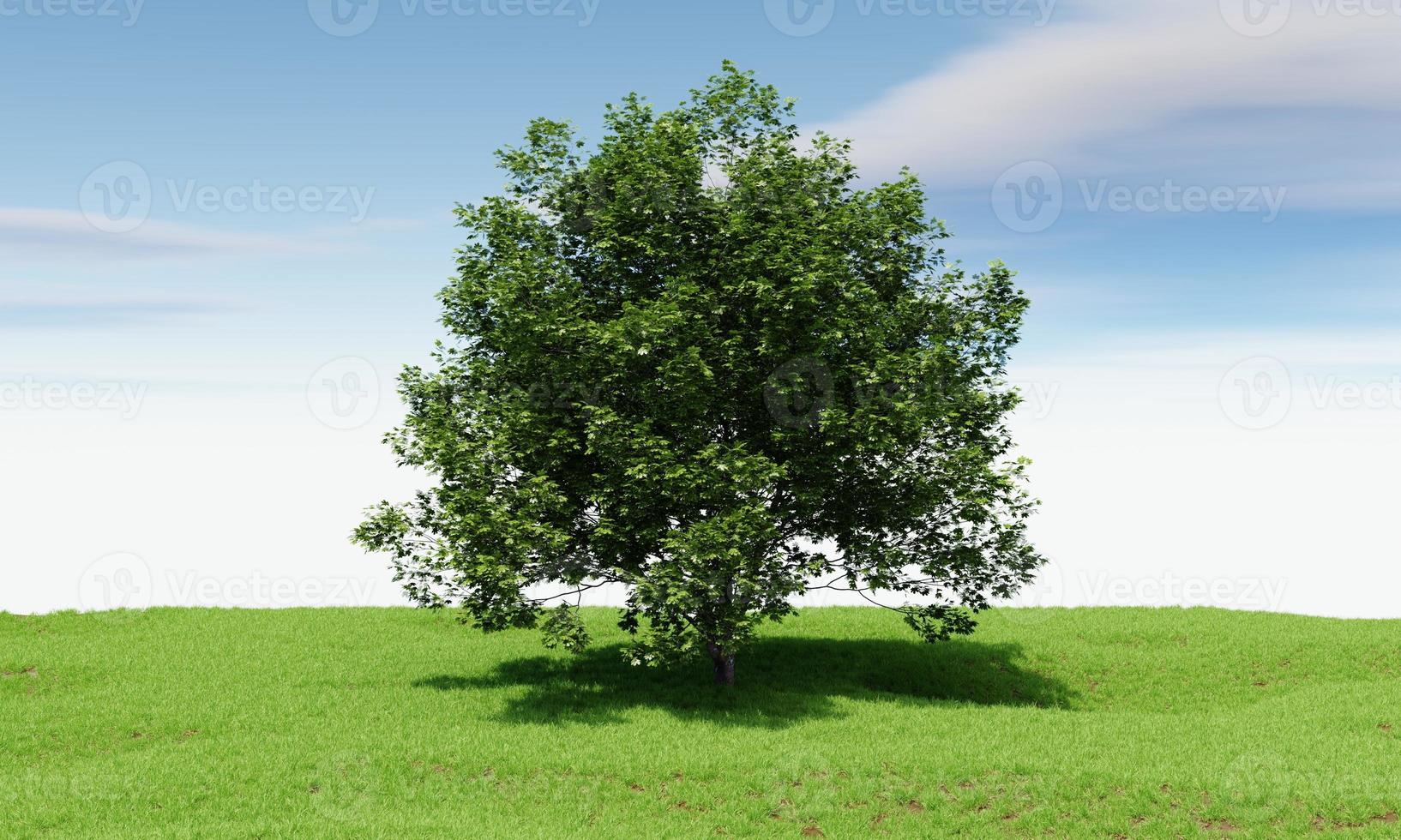 grande albero con sfondo azzurro del cielo. concetto di natura e paesaggio. rendering di illustrazioni 3d foto