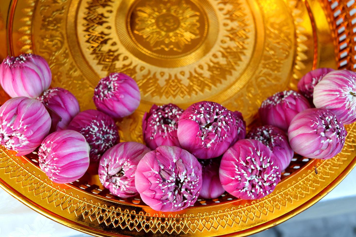 vista dall'alto di fiori di loto rosa-viola su vassoio color oro, stile antico tailandese nel tempio, il fiore di loto toglie il petalo esterno di forma rotonda, tailandia. foto