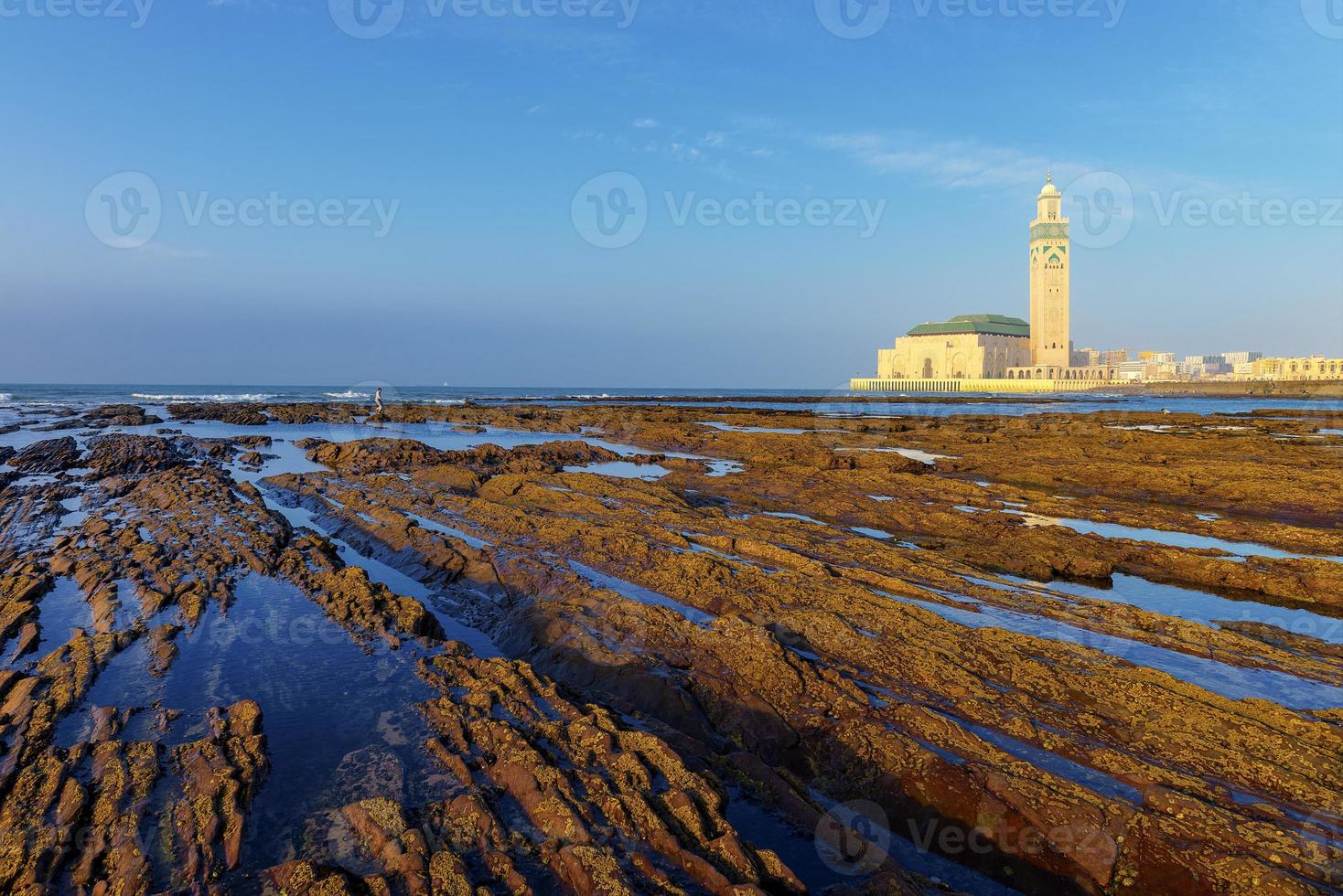 Dettaglio delle rocce nude a causa della bassa marea a Casablanca, in Marocco. foto