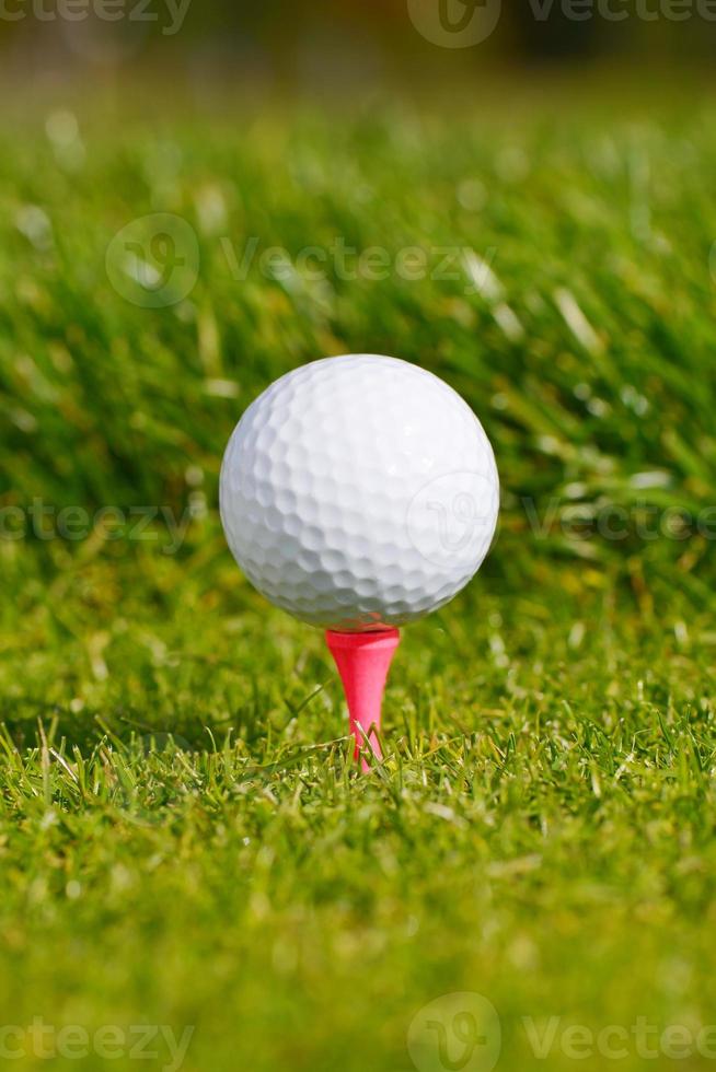 pallina da golf sul tee foto