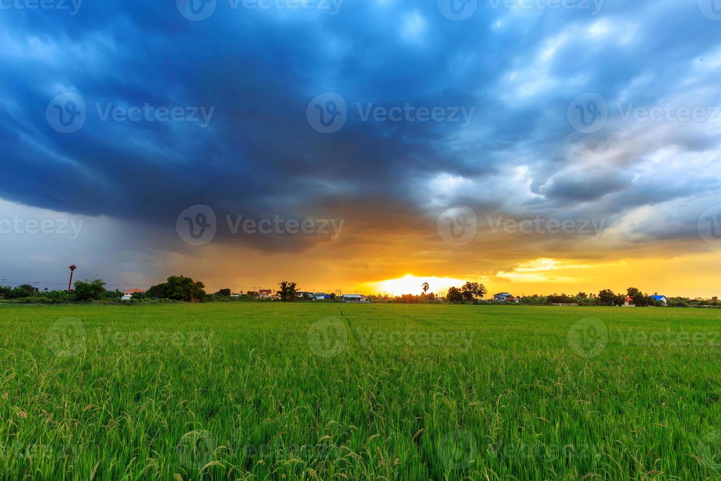 campo di riso al tramonto con nuvole lunatiche foto