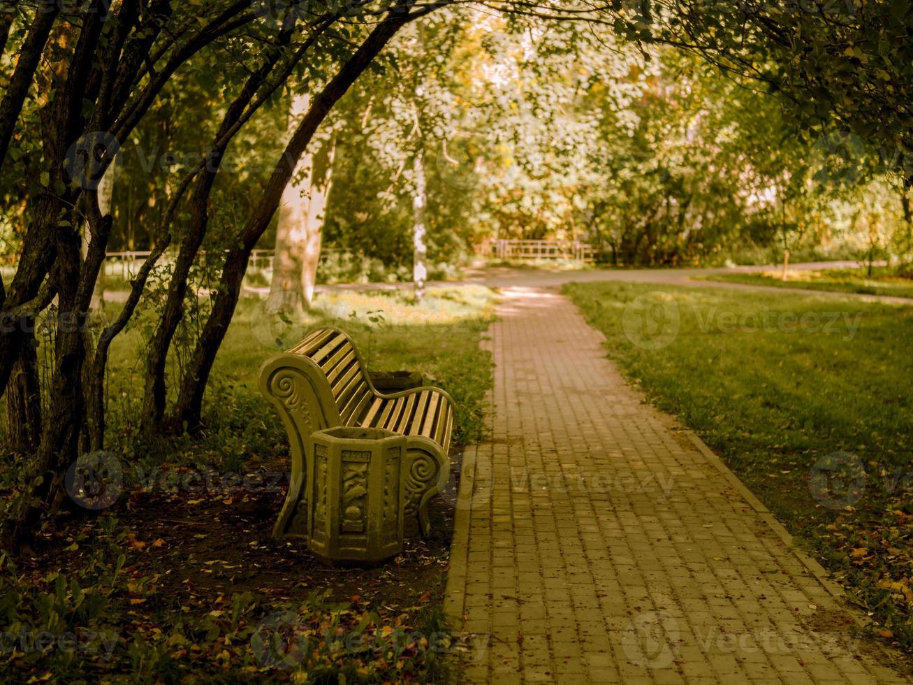 grande panchina sul sentiero nel parco tra gli alberi, sfondo autunnale, strada foto