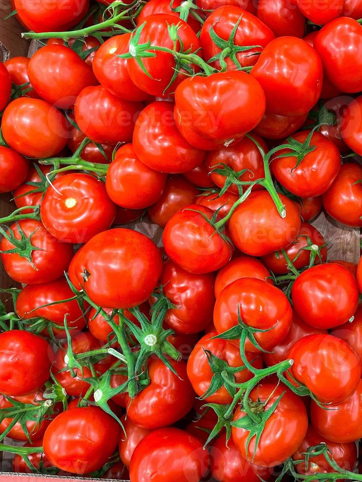 pomodoro verde ramo pomodorini frutti sul bancone del mercato negozio pasto sano cibo snack copia spazio cibo sfondo vegetariano vegano foto