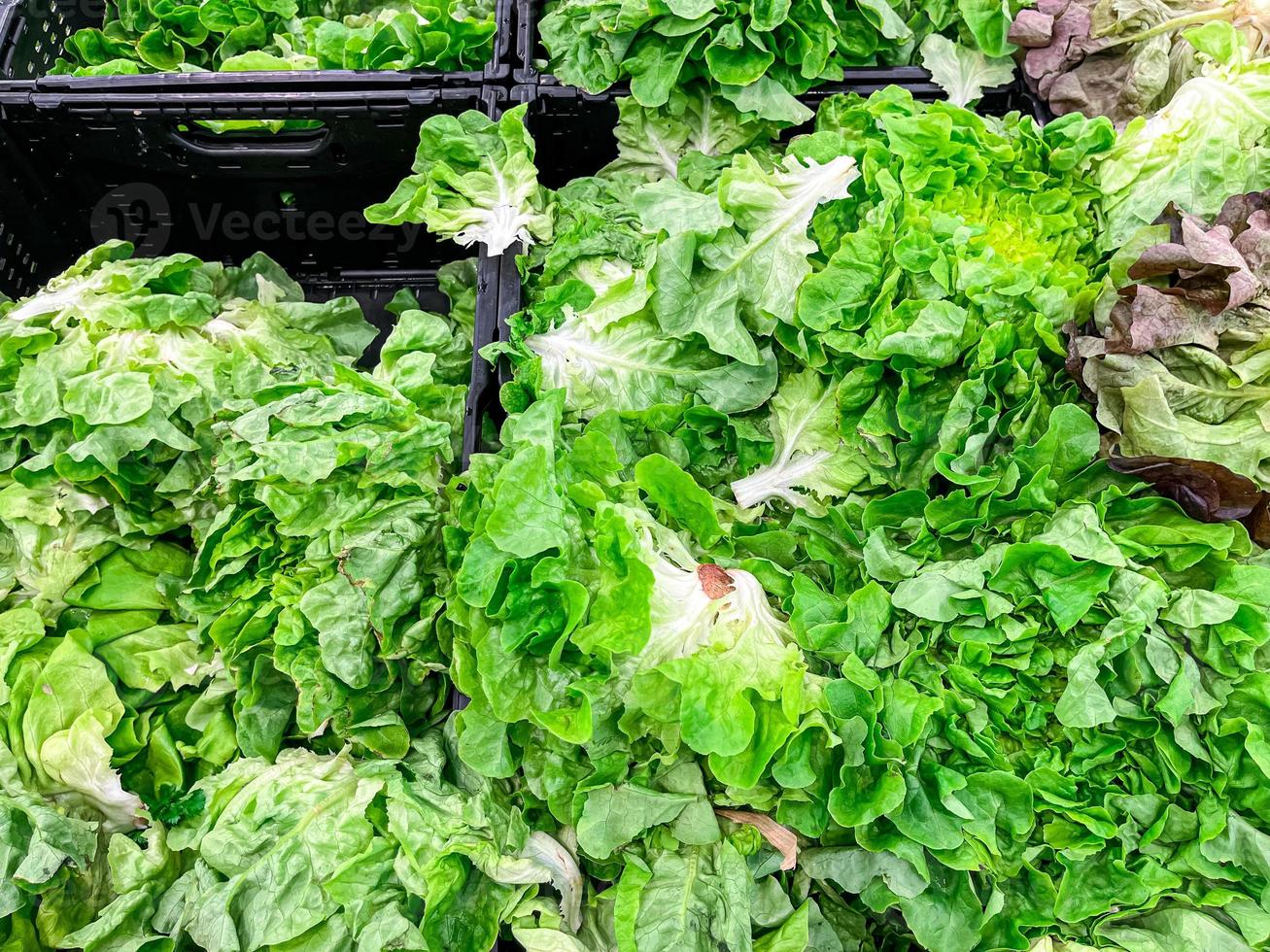 insalata di lattuga mescolare le foglie verdi sul bancone del negozio di mercato cibo sano spuntino copia spazio foto