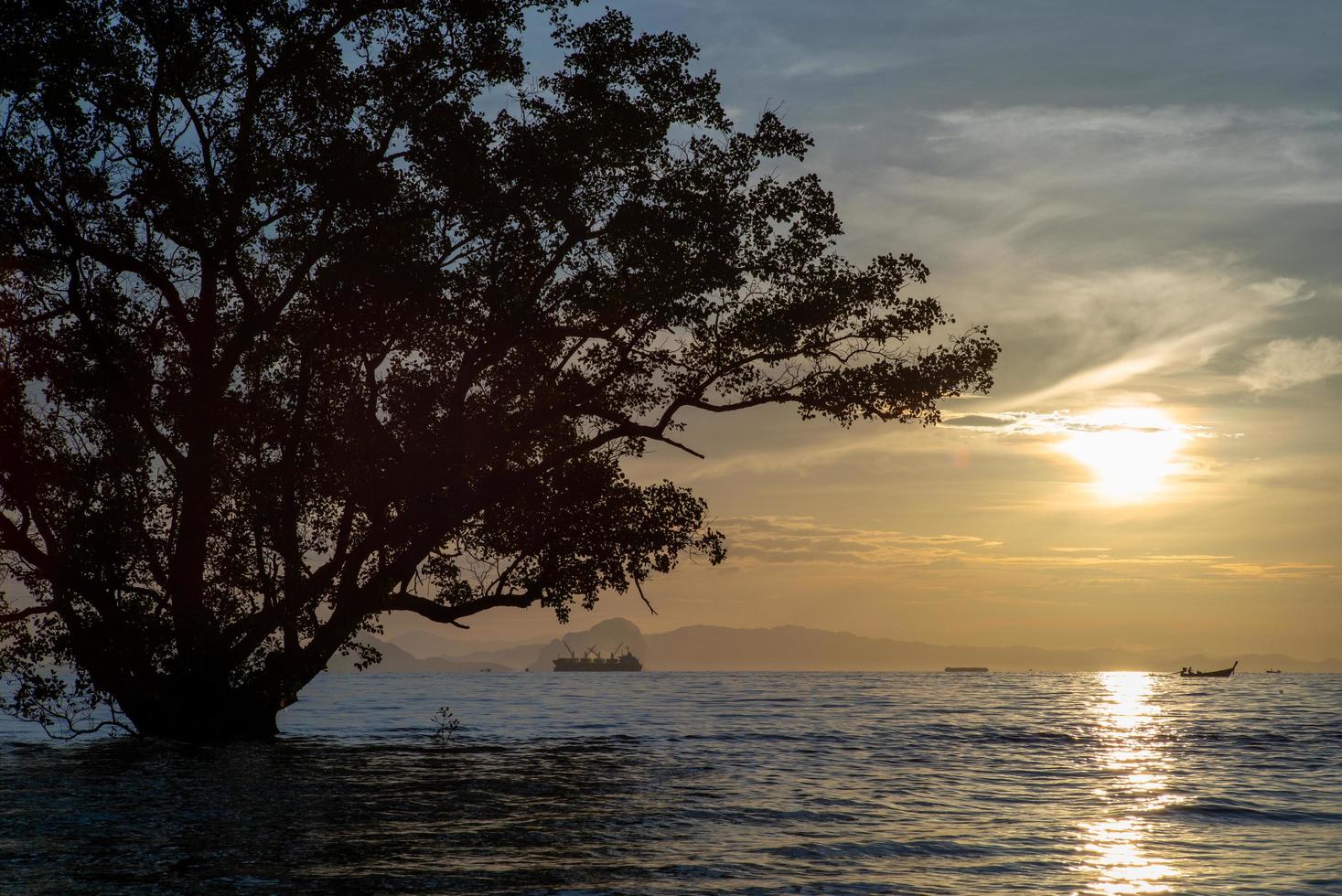 alba nel cielo nuvoloso al mattino con silhouette di grande albero in primo piano e molte barche e navi che galleggiano sul mare con ombra di montagna con nebbia sullo sfondo foto