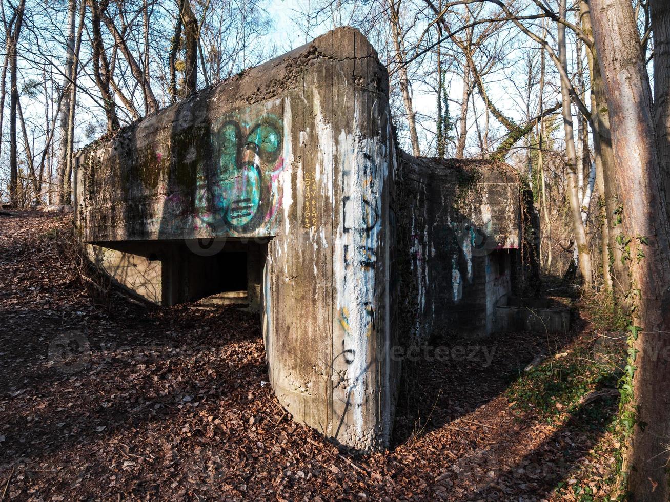 porto vecchio, edifici abbandonati, ponti, graffiti sui muri delle case di strasburgo foto