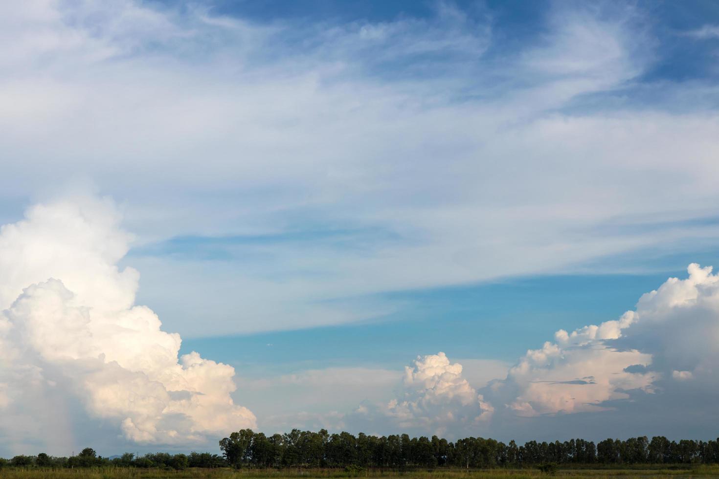 cieli nuvolosi inondazione di risone. foto