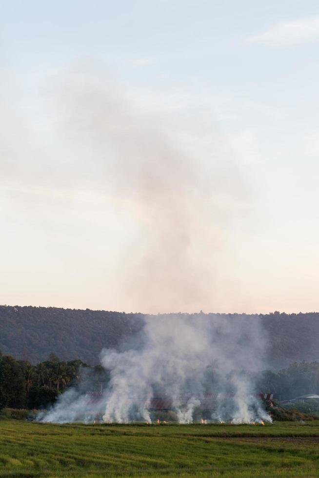 montagna che brucia stoppie di fumo. foto