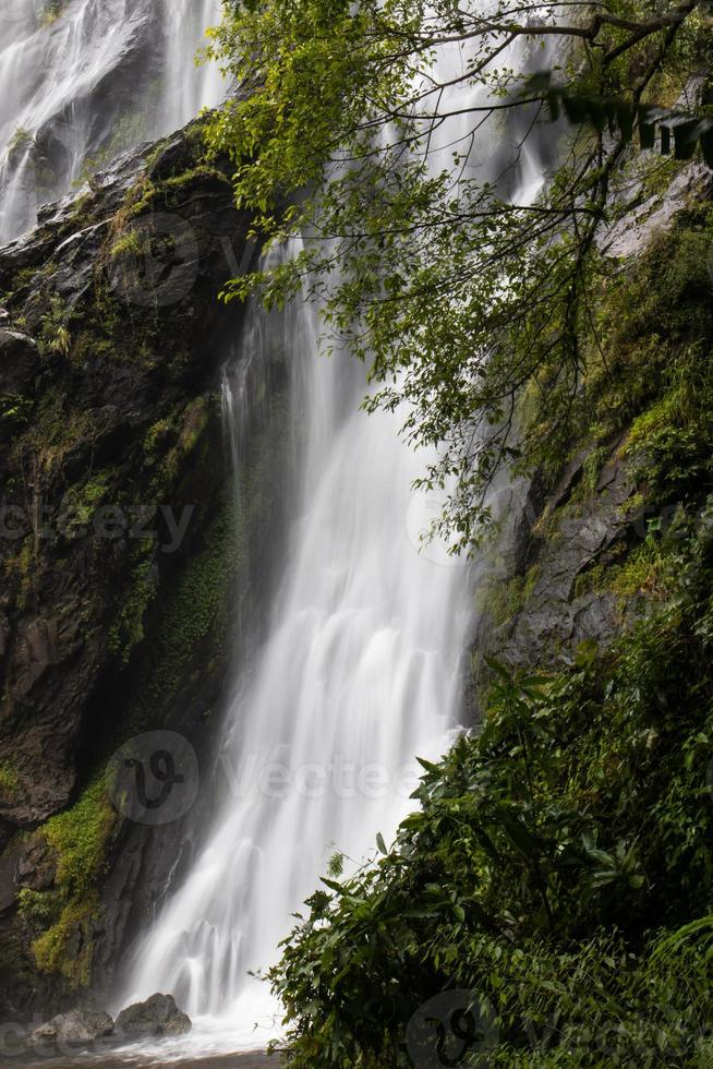 cascata vicino agli alberi. foto